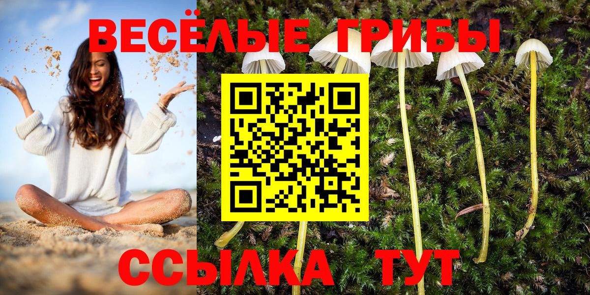 Псилоцибиновые грибы MAGIC MUSHROOMS Кувандык